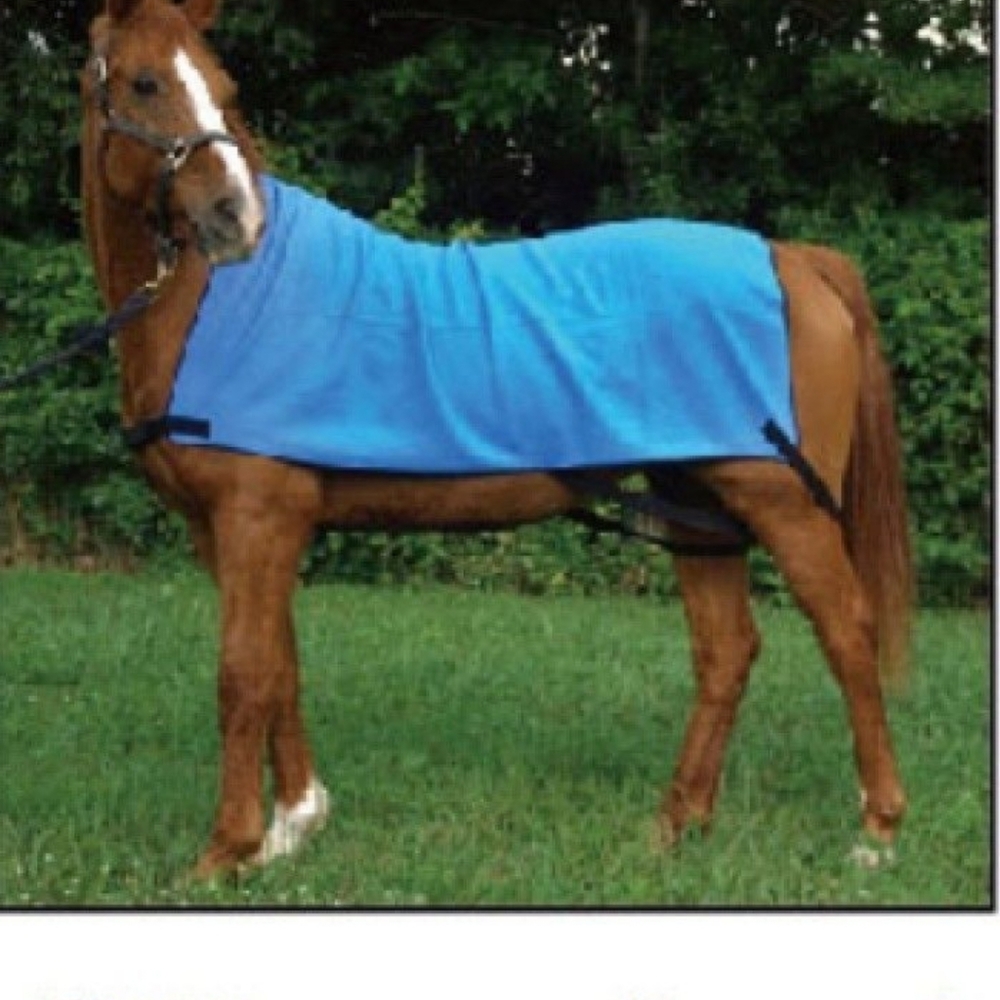 COOLING VEST FOR HORSES BLUE WITH ELASTIC STRAPS